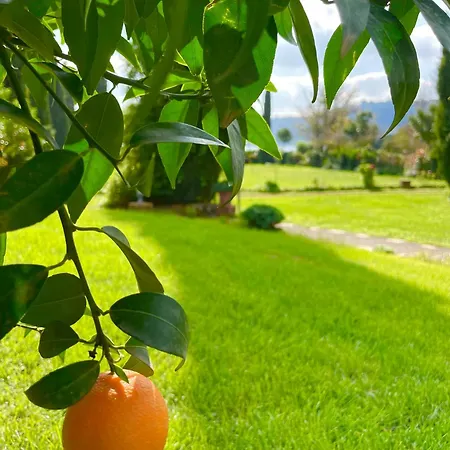 Alloggio per agriturismo Le Grotte *